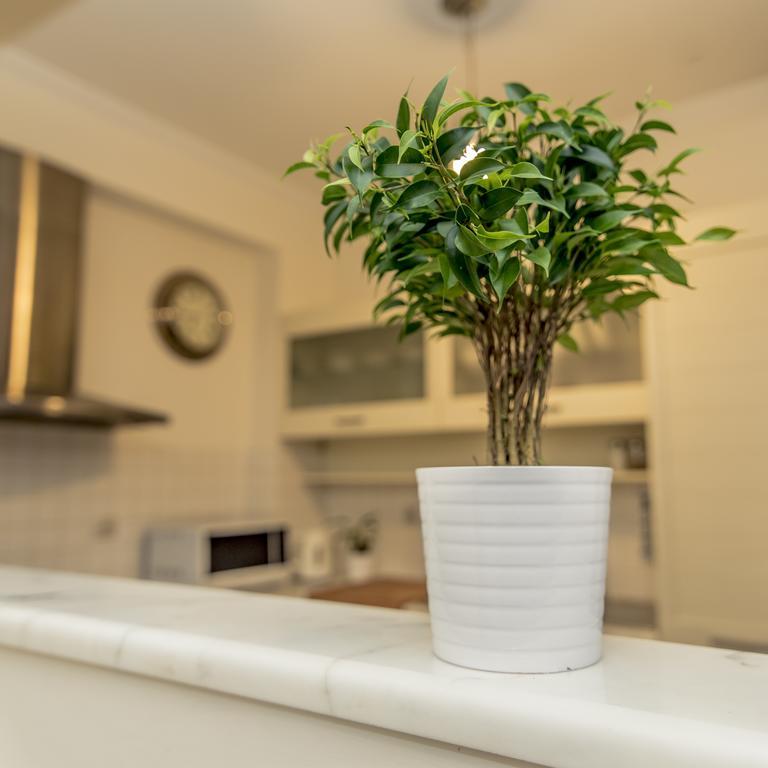 Elegant Supercentral Apartment سالونيك المظهر الخارجي الصورة